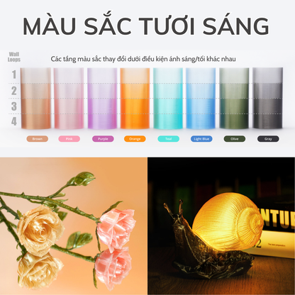 Bambu Lab PETG Transculent | Nhựa In 3D Trong Suốt FDM